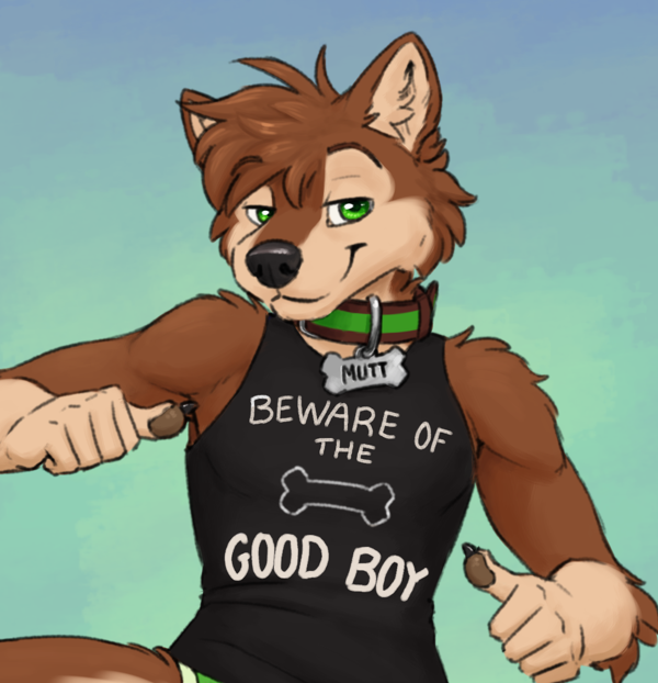 Beware Good Boy