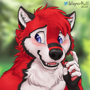 Red is shy