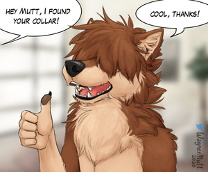 Quarantine fluff